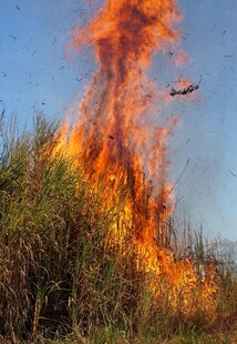 野外草地熊熊燃烧的大火