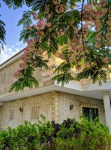 庭院繁花与建筑景致