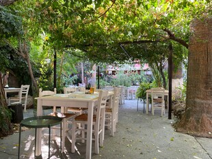 户外绿植环绕的休闲用餐区