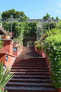 花园中绿植环绕的石阶