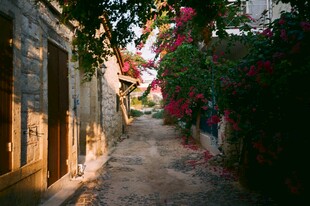 小巷繁花