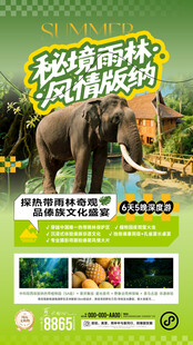 热带雨林西双版纳旅游宣传海报