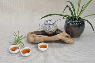 中式茶具与绿植雅致组合