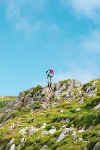徒步者攀登绿意盎然的山坡