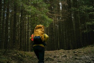 森林中背着背包的徒步者