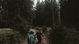 森林中徒步的背包客