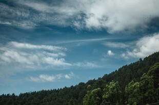 蓝天白云下的葱郁山林
