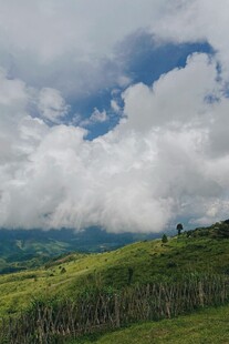山坡白云