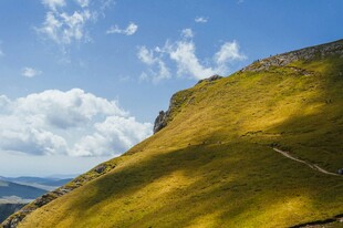 高山草甸风光