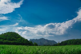 蓝天白云下的绿野青山