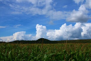 草原蓝天白云悠悠