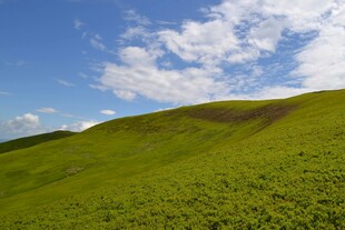翠绿山坡与蓝天白云美景