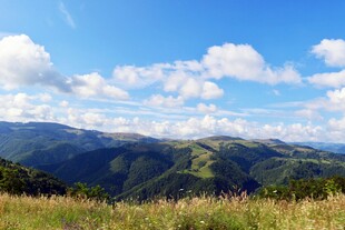 山坡白云