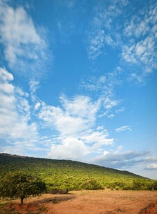 蓝天白云下的广袤原野