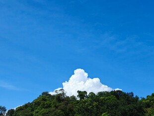 山顶白云与葱郁绿树