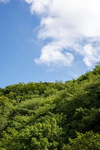 山坡白云