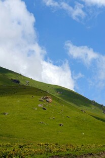 山坡白云