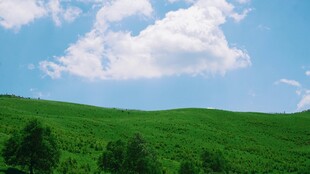 山坡白云