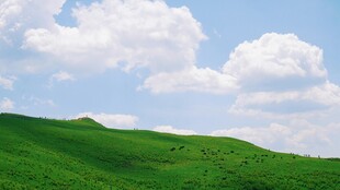 山坡白云
