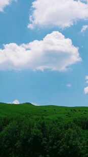 山坡白云