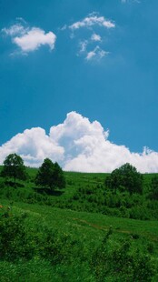 山坡白云