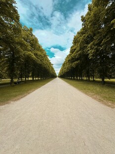 林荫大道