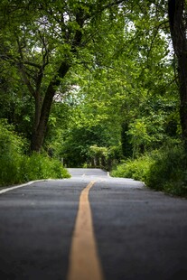林间公路
