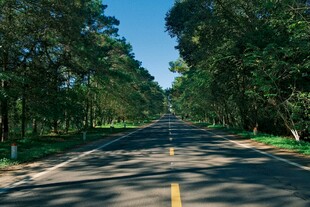 林间公路