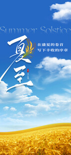 夏至海报 