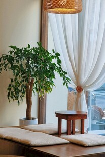 室内绿植与简约家具布置