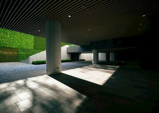 室内光影与户外绿意景观