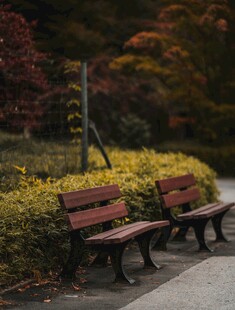 公园长椅旁的秋日景致