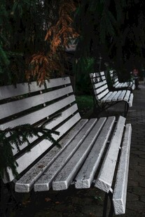 公园中的木质长椅