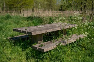 草地上的老旧木质野餐桌
