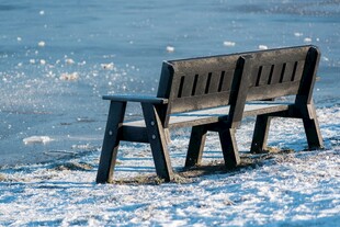 雪覆长椅于宁静水边