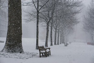 雪后林间长椅
