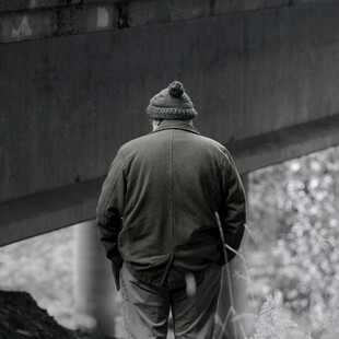 孤独背影下的沉思者