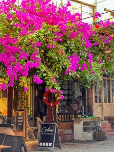 繁花簇拥的浪漫街边小店
