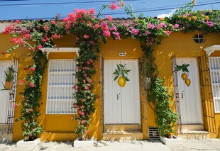 鲜花装点的黄色小屋