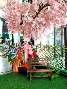 室内樱花景观