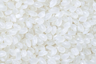 优质大米颗粒饱满