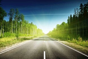 阳光照耀下的林间公路