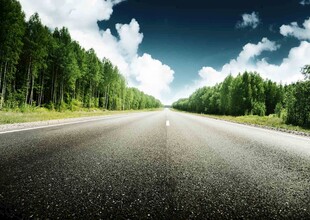 宽阔公路通向葱郁森林