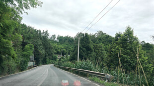林间公路