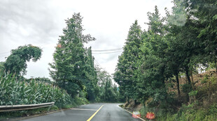 山间公路