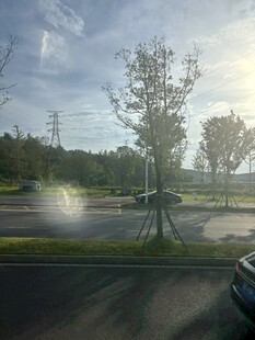 户外道路旁的树木与风景