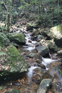 姑婆山山林间潺潺溪流美景