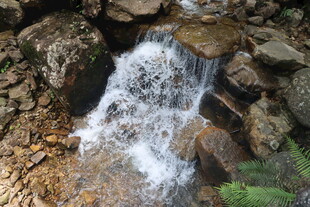 山间小瀑布流水潺潺