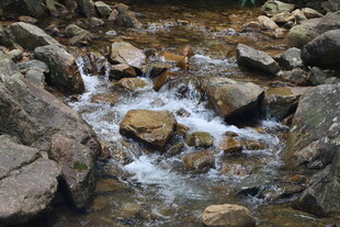 姑婆山山间溪流潺潺石间流水