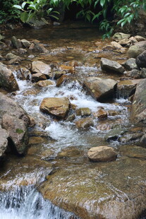 山间溪流潺潺过石